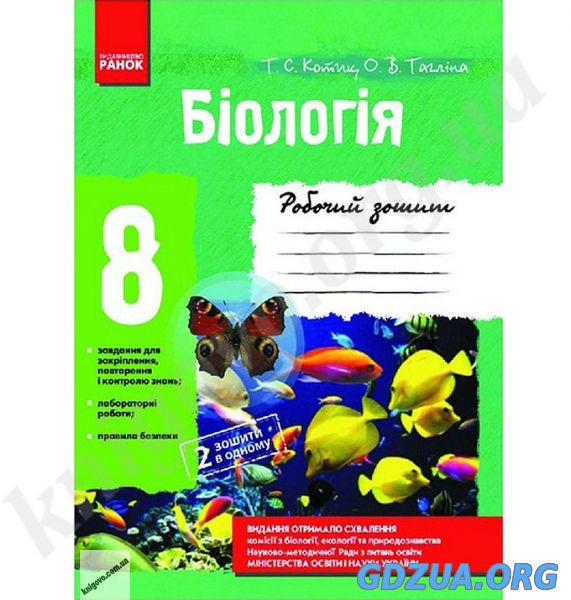 робочий зошит з болог 7 клас котик скачать