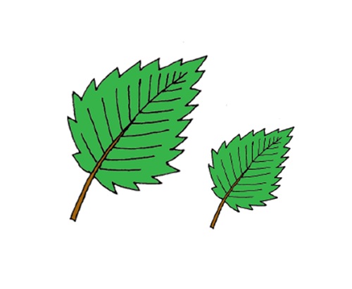 робочий зошит з болог 7 клас котик скачать